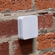 Load image into Gallery viewer, RadBeacon E4